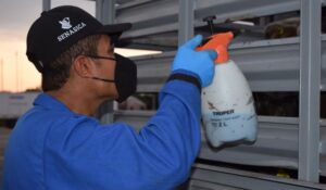 Atiende Sader caso de gusano barrenador del ganado