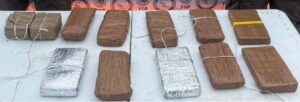 FGR asegura presunto fentanilo y heroína en Sonora
