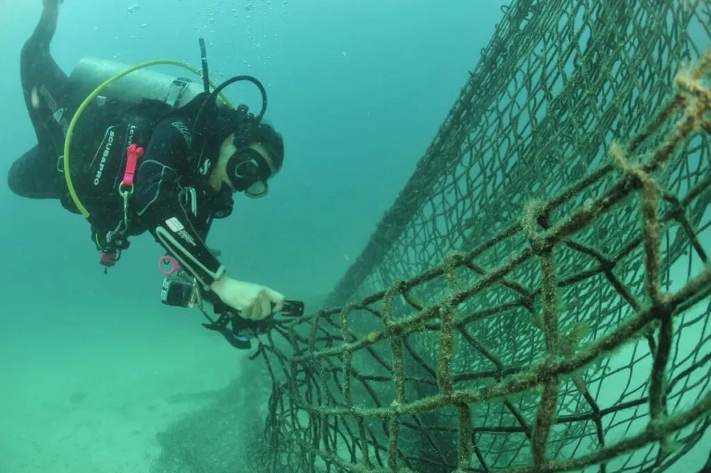Hallan inmensa trampa mortal en el fondo del mar, en Baja California Sur