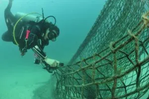 Hallan inmensa trampa mortal en el fondo del mar, en Baja California Sur