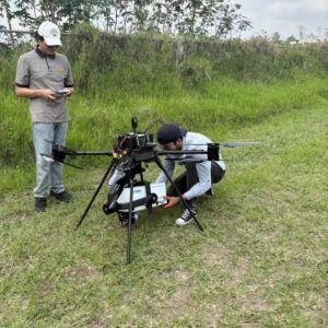 Cerdos e insectos que están ayudando a encontrar a desaparecidos en México