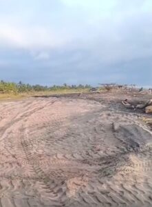 Em Nayarit, indigna robo de arena que pone en riesgo a tortugas