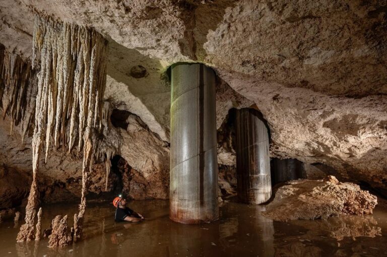 Este gobierno (Morena) es criminal, por su soberbia, por su corrupción e ignorancia