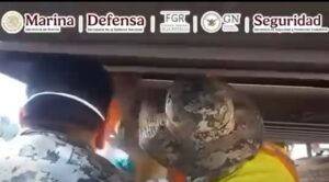 Aseguran 605 kilos de posible metanfetamina en Mazatlán