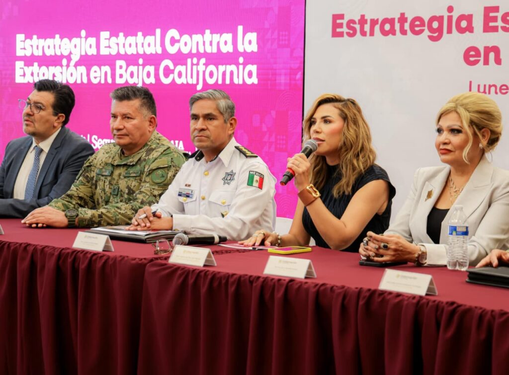 Gobierno de Baja California desmantela 22 células delictivas