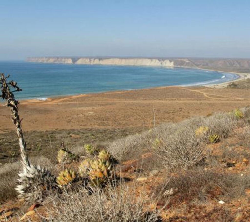 ONU alerta a Sheinbaum: Megaproyectos en Golfo de California ponen en riesgo a millones de personas