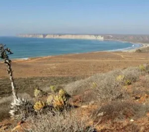 ONU alerta a Sheinbaum: Megaproyectos en Golfo de California ponen en riesgo a millones de personas