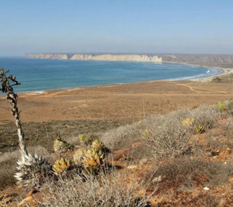 ONU alerta a Sheinbaum: Megaproyectos en Golfo de California ponen en riesgo a millones de personas