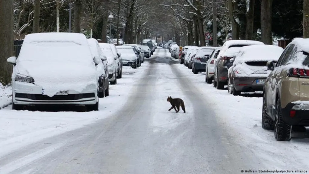 Frío en Europa; nevada deja cinco muertos en Francia