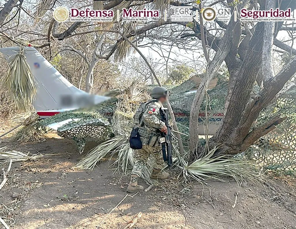 Aseguran avioneta en Oaxaca con 534 paquetes de cocaína