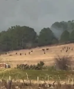 Sedena confirma la muerte de Ruben “N” (a) Mencho