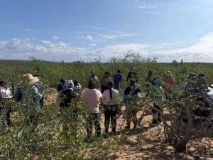Madres buscadoras localizan cinco fosas clandestinas en Baja California Sur