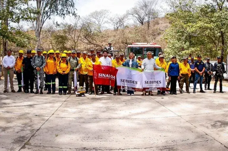 Alto porcentaje de incendios son provocados por humanos
