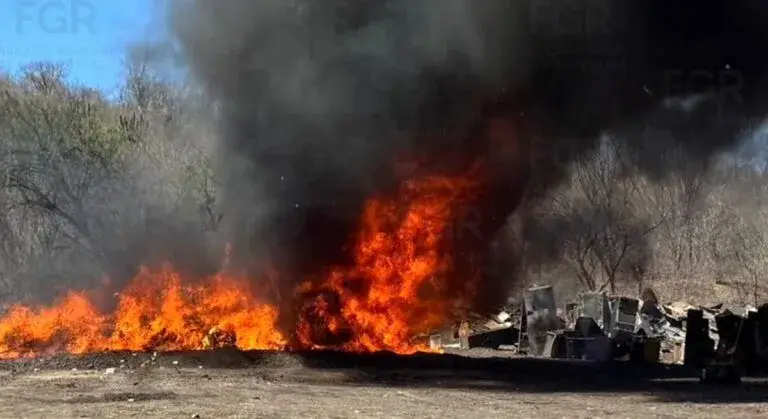 FGR incineró más de nueve toneladas de narcóticos en Sinaloa