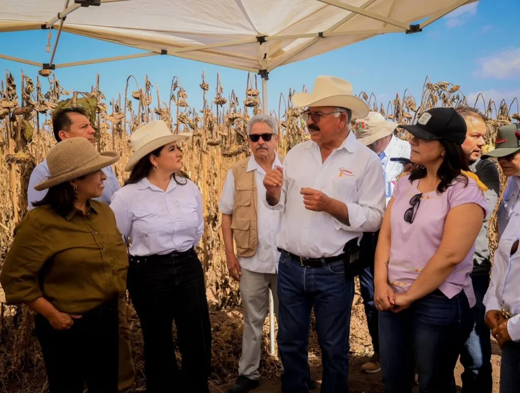 Garantizan apoyo al campo sonorense con estrategia de reconversión de cultivos