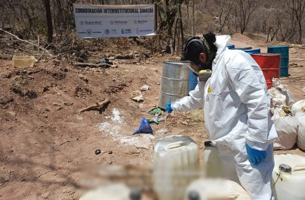 Localizan e inhabilitan laboratorios clandestinos en Sinaloa