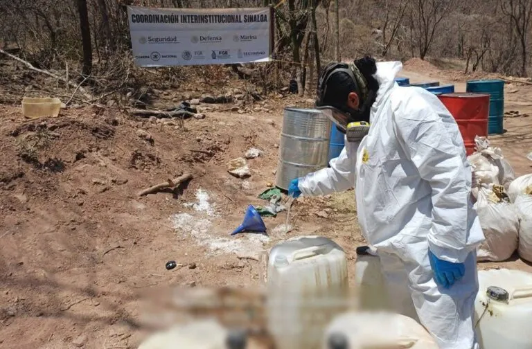 Localizan e inhabilitan laboratorios clandestinos en Sinaloa