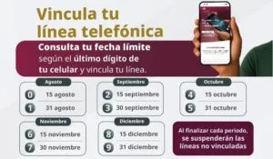 CRT anuncia calendario y fechas límite para registro de líneas