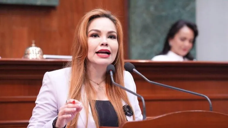 Diputada rechaza señalamientos y descarta buscar otro cargo