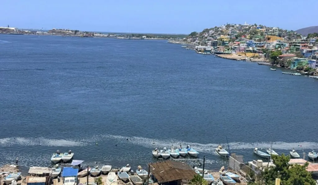 Planta de fertilizantes no afectará la pesca de la Bahía Ohuira, Topolobampo
