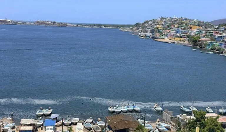 Planta de fertilizantes no afectará la pesca de la Bahía Ohuira, Topolobampo