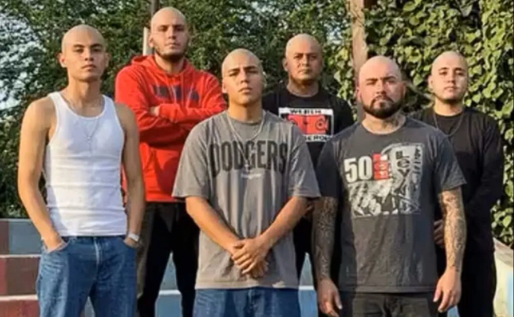Seis influencers desaparecen en ruta hacia Mazatlán