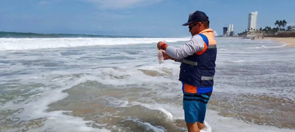 COEPRISS informa que las 22 playas monitoreadas en Sinaloa son aptas para uso recreativo