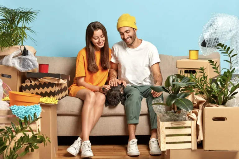 Hábitos habitacionales: Elektra lidera la renovación del hogar este julio
