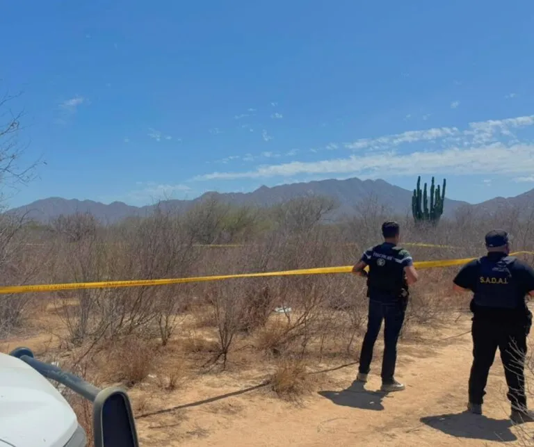 Localizan sitio de inhumación clandestina en Los Cabos