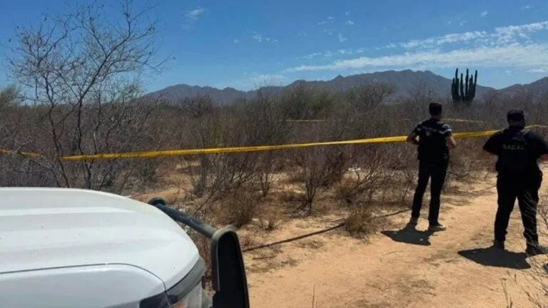 Identifican restos de Carlos Beltrán, exasesor de Rocha Moya