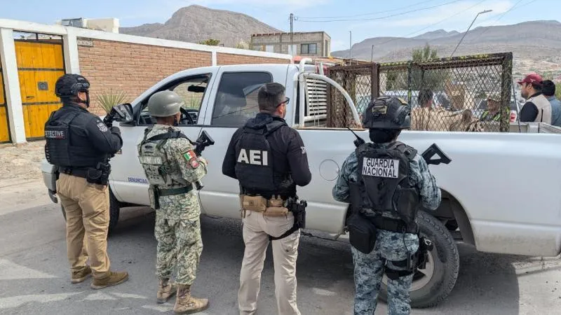Localizan tigre y cocodrilo en autolavado de Ciudad Juárez.