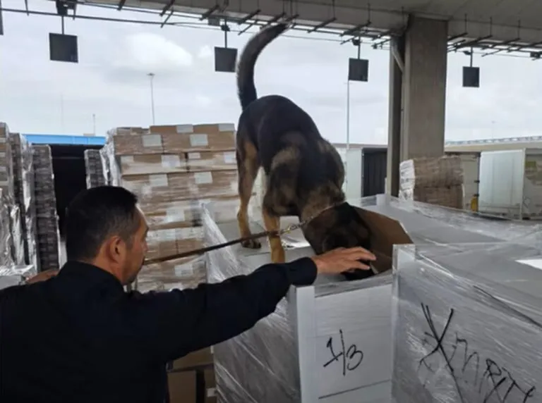 Aseguran 1.3 toneladas de metanfetamina y 10 kilos de fentanilo en Tijuana