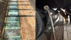Aseguran casi 250 kilos de cocaína y fentanilo en la Garita de Otay en BC