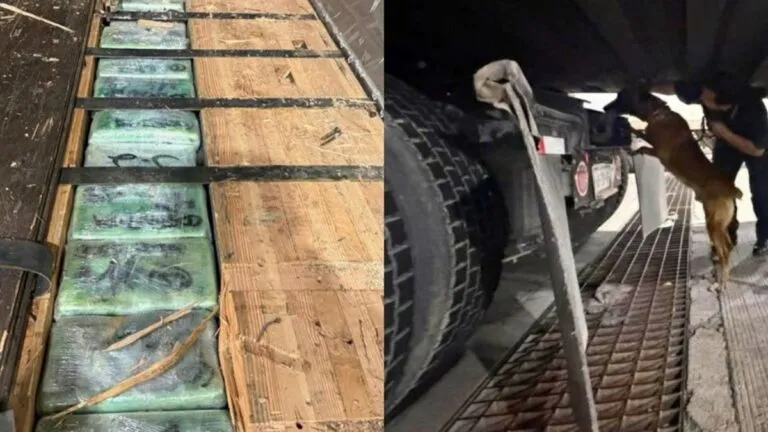 Aseguran casi 250 kilos de cocaína y fentanilo en la Garita de Otay en BC