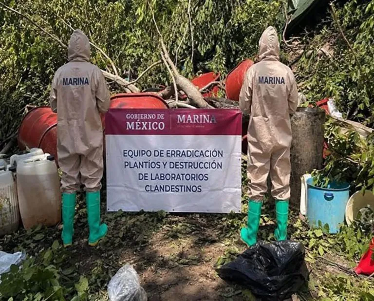Aseguran laboratorio clandestino, armamento y a ocho personas en operativos
