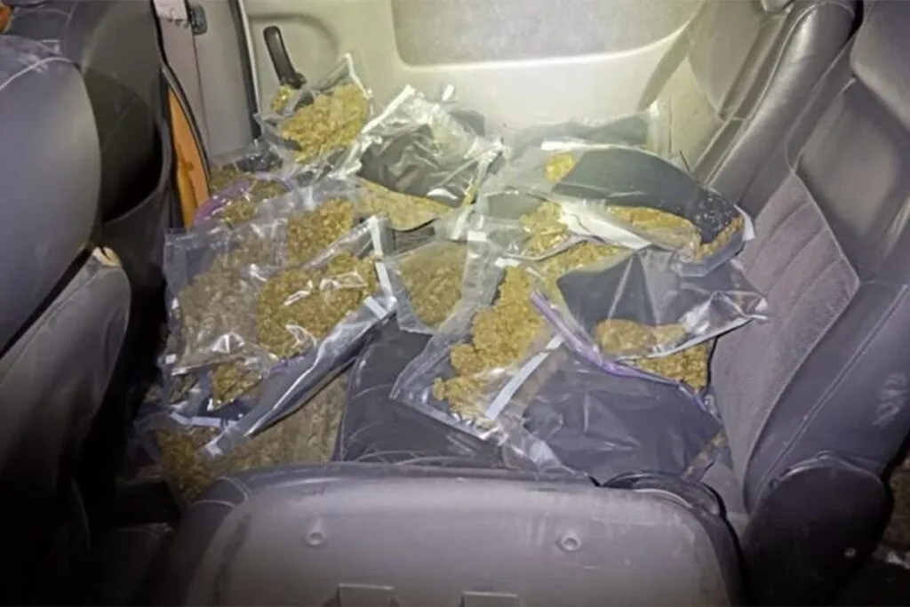 Localizan 33 paquetes con presunta mariguana en Monterrey