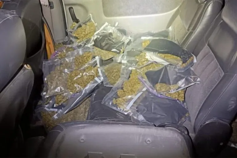 Localizan 33 paquetes con presunta mariguana en Monterrey