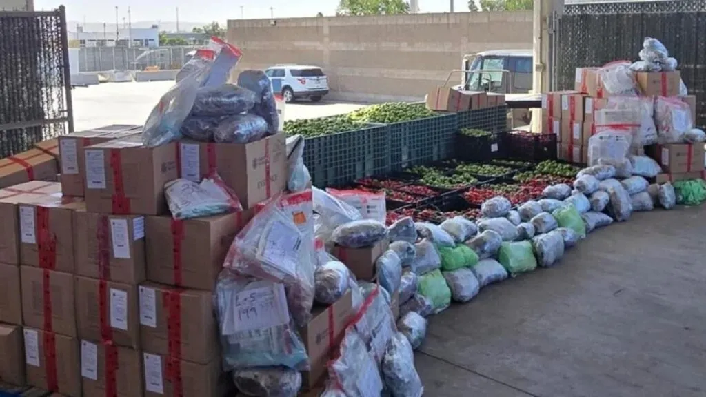 Incautan más de 720 kilos de metanfetamina en San Diego, California
