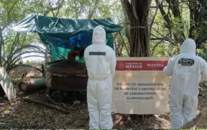 Localizan y neutralizan un laboratorio clandestino en Sinaloa